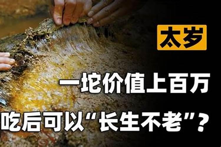 千年太岁能吃吗