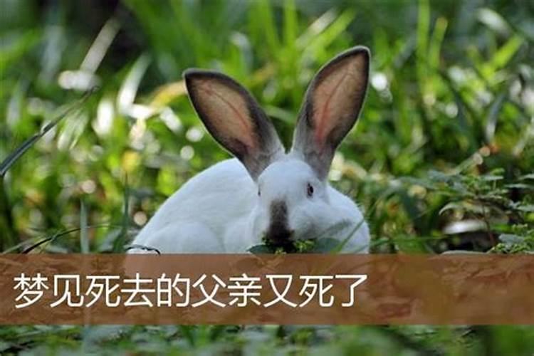 (解梦高手)同一个梦 梦见爸爸去世了 我哭得很伤心 同时给奶奶钱用