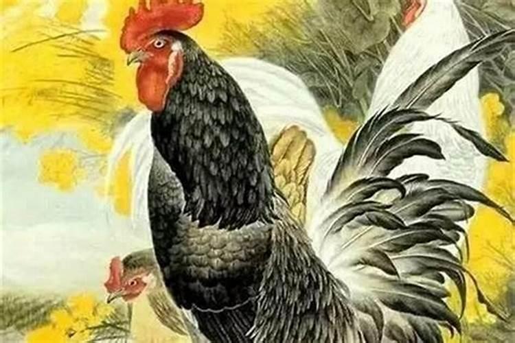 姻缘和合是啥意思