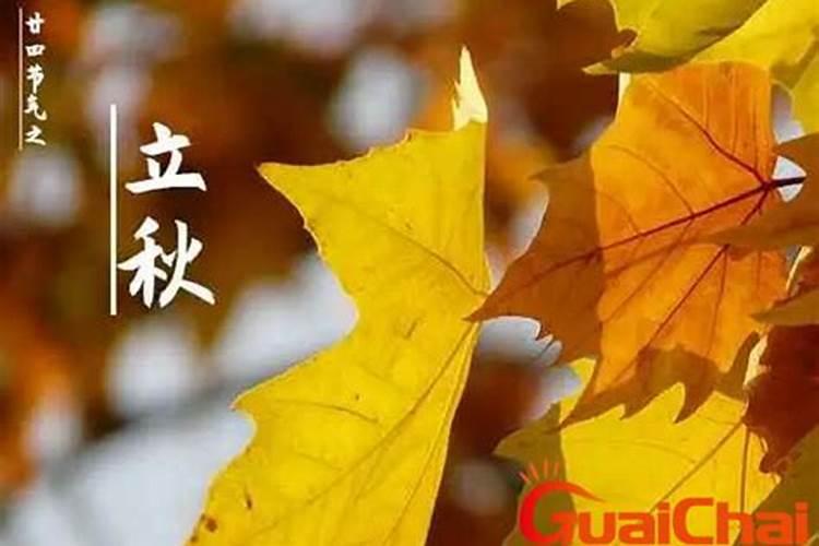 傣族是怎样过春节的