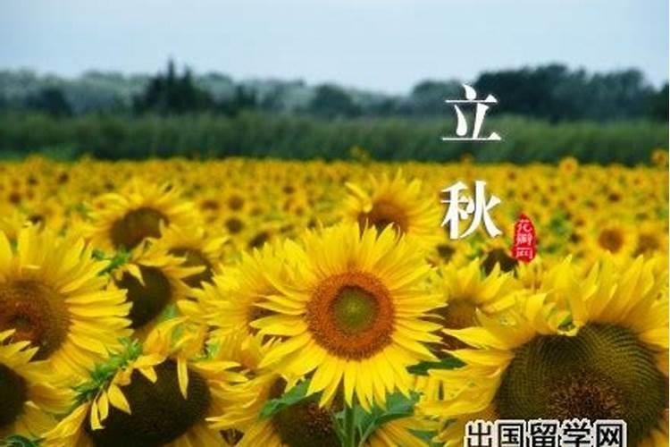 1975年阴历七月十五是什么星座