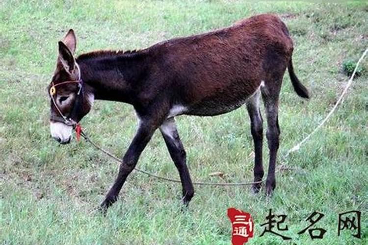 夏至日时间 每年的6月21日或22日