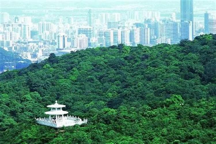 2021重阳节江门圭峰山景区登高注意事项