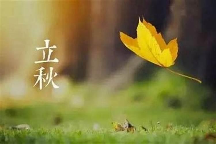 立春时出生的女孩的命运如何？