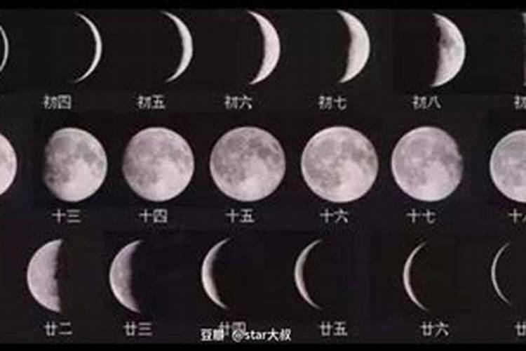 包双龙教程