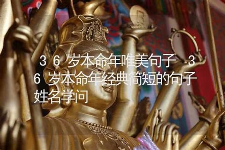 36本命年有什么讲究