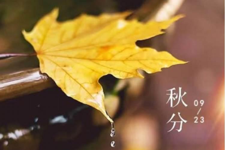 秋分后要注意些什么？