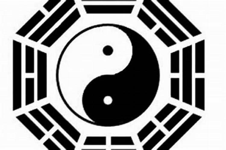 属猪相冲什么属相？？