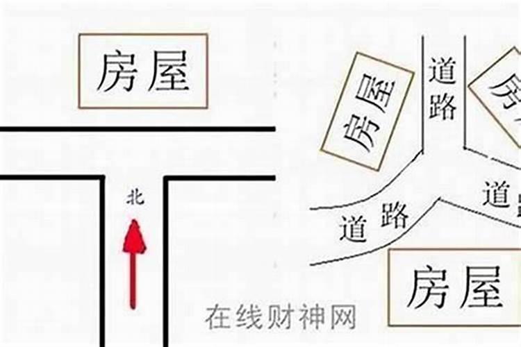 属马人2025年全年运势运程