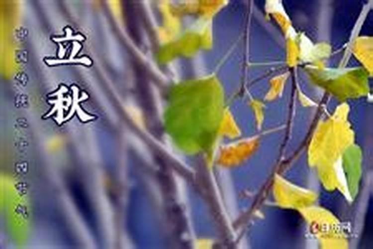 农历66年5月5日肖马男在2017运势？