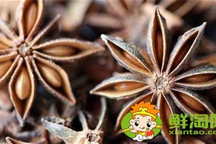 鼠年犯太岁的属相 属鼠犯太岁化解方法