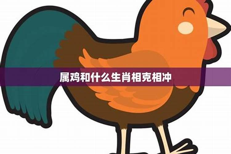 鸡猴属相合不合
