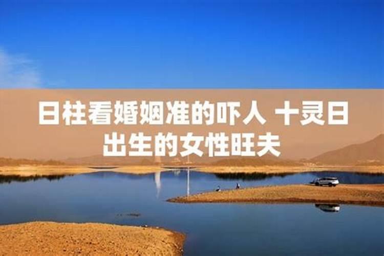 生肖鼠1984年2025年运势如何 生肖鼠1984年2025年全年运势
