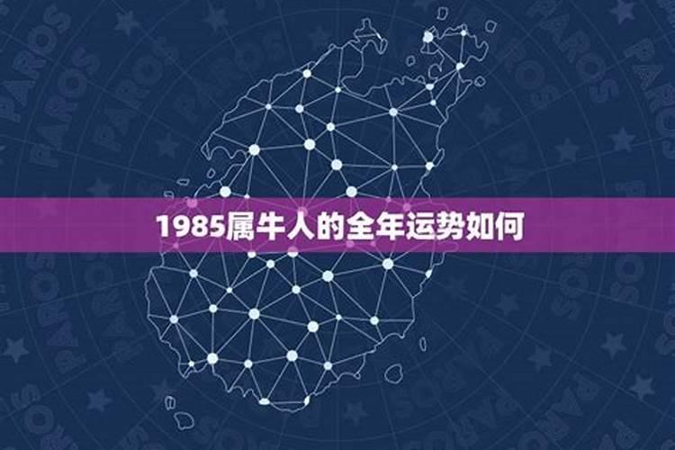 85年属牛未来10年运势 灾难年龄 三大坎？