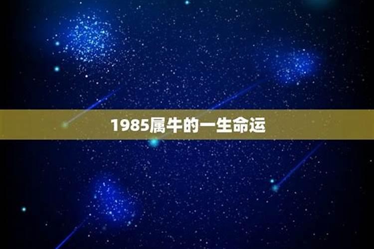 85年属牛终身三大坎2024 85属牛大劫年牢狱之灾