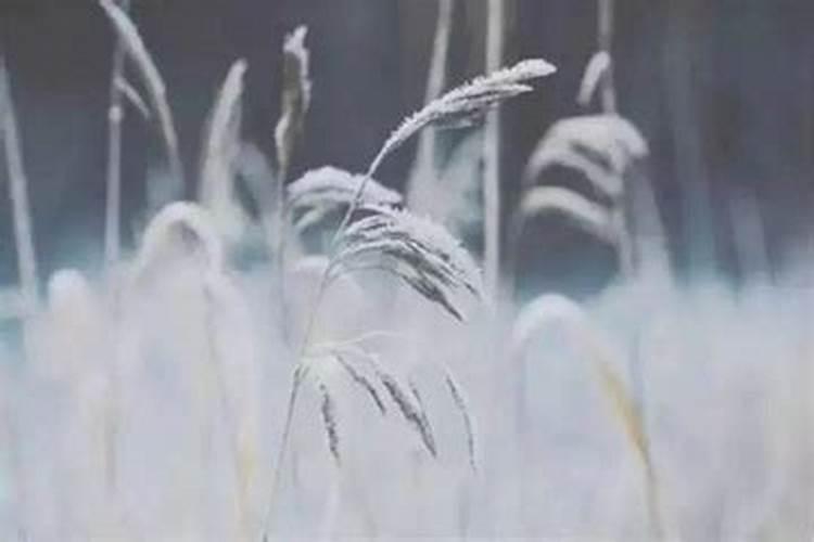 十月初一能回娘家吗(寒衣节闺女可以回娘家上坟吗)