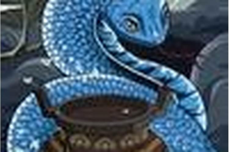 保家仙的大供是哪一天