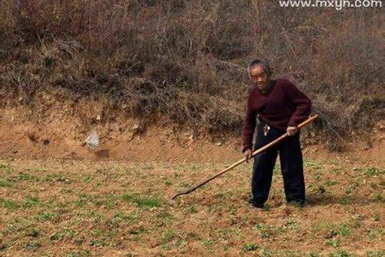 本命年可以做伴娘吗送嫁跟伴娘有什么区别