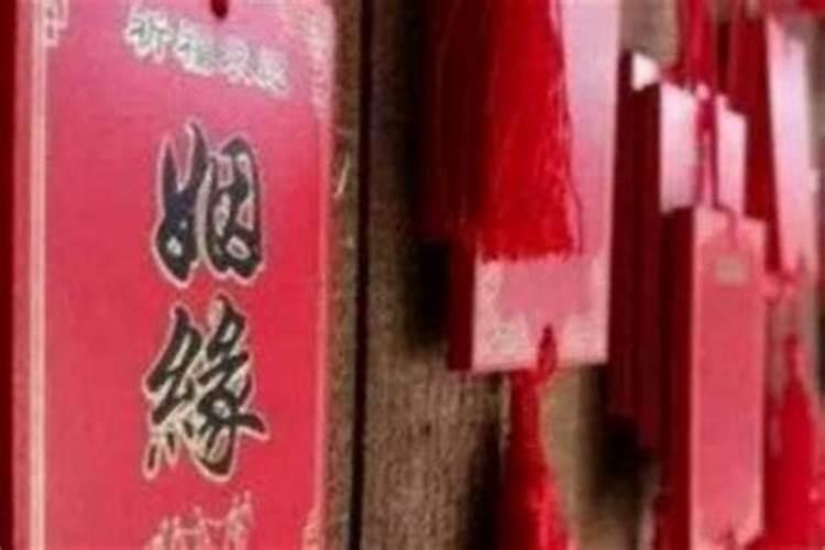 2025年属什么生肖2025年属哪个生肖