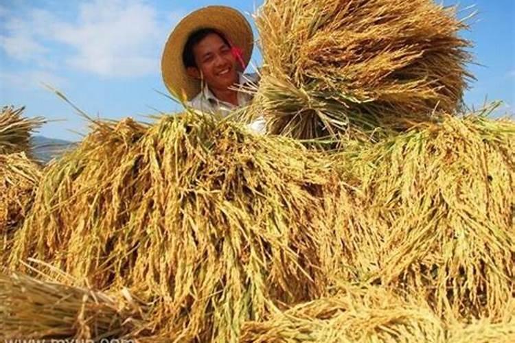 堕胎真的会招报应吗？