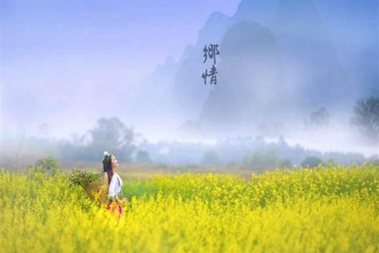 生肖羊2024年犯太岁吗 2024年生肖羊为什么刑太岁