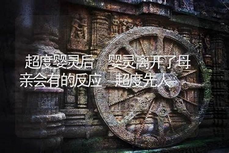 两个属鸡的人结婚婚姻怎样 同年属鸡的人结婚好吗