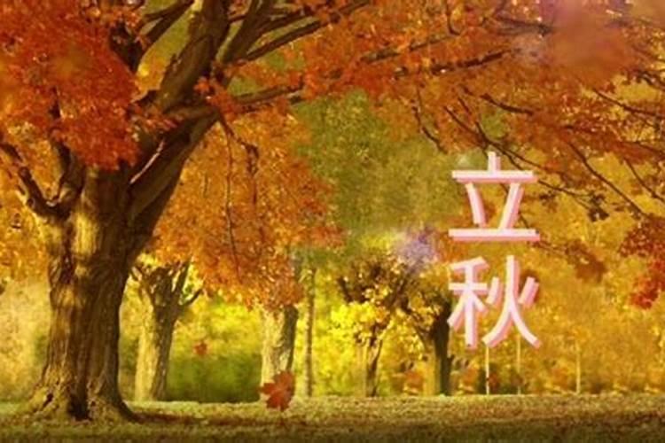秋膘是什么意思