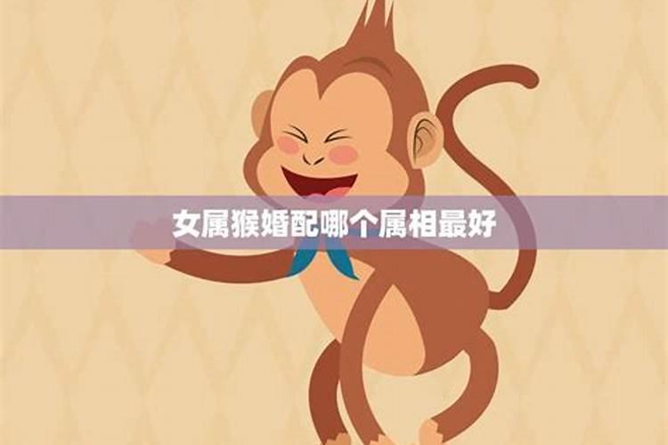 属猴女的跟什么属相最配