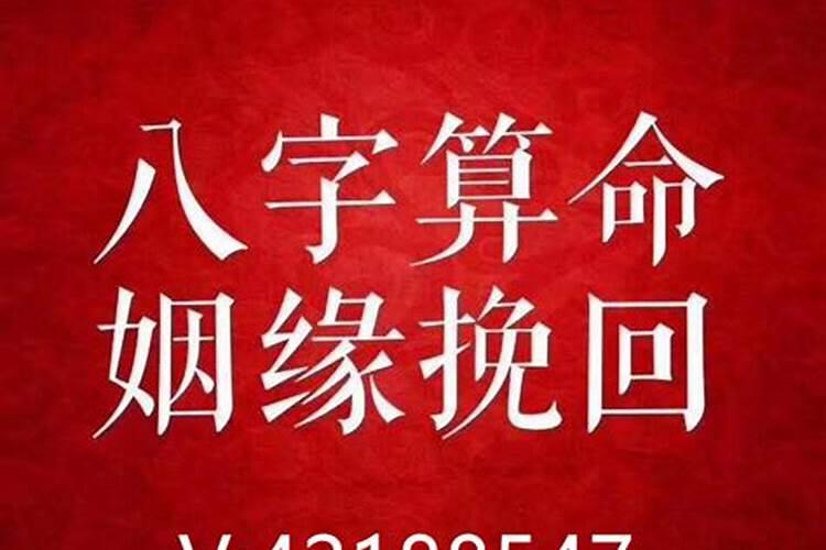 属蛇人犯太岁的化解方法