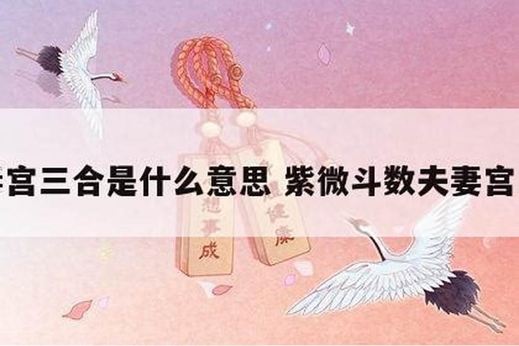 八字婚姻宫和夫妻宫相合会不会结婚