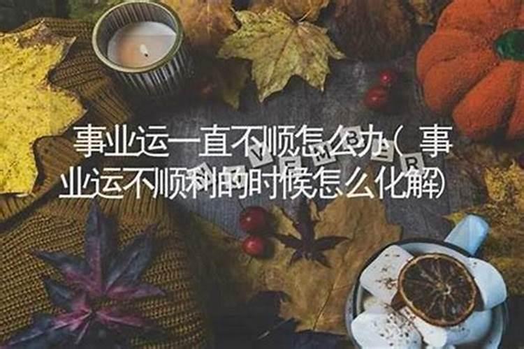 1975年属兔2024年运势及运程 1975年属兔2024年运势每月运程解析