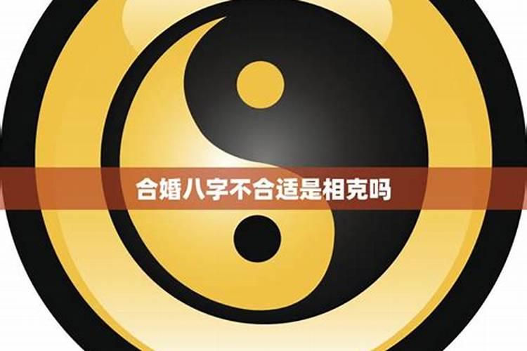 看八字几个字合最好 八字不合该怎么办