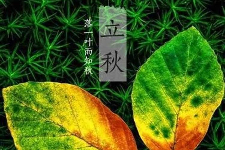 端午禁忌事项详解