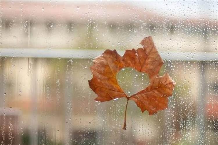 重阳节剪头发是不是不好