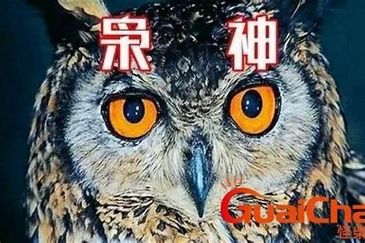 在周易算命中枭字是什么意思