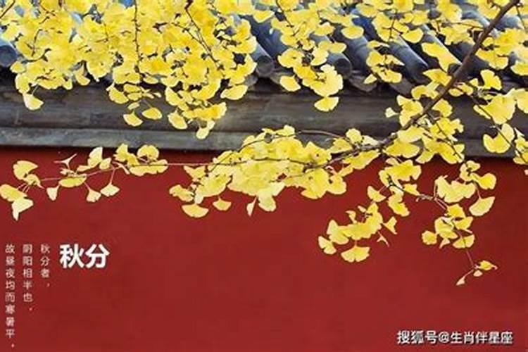 秋字旁的都有什么字