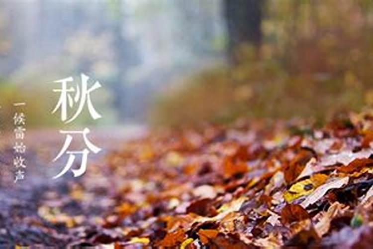 秋分的由来和风俗