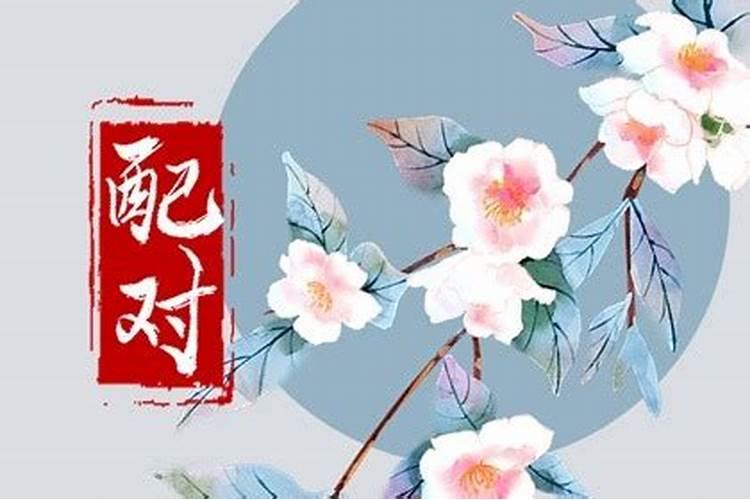 算命八字算终身兔和羊能走在一起吗