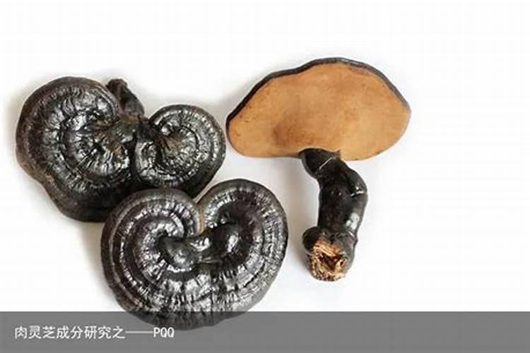 犯太岁要注意什么