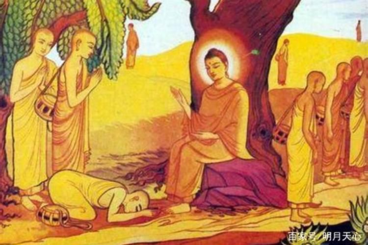 男女日柱相合的有缘分吗 天定姻缘的日干支组合？