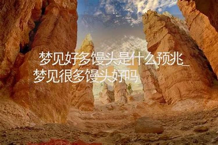 周公解梦梦见很多人