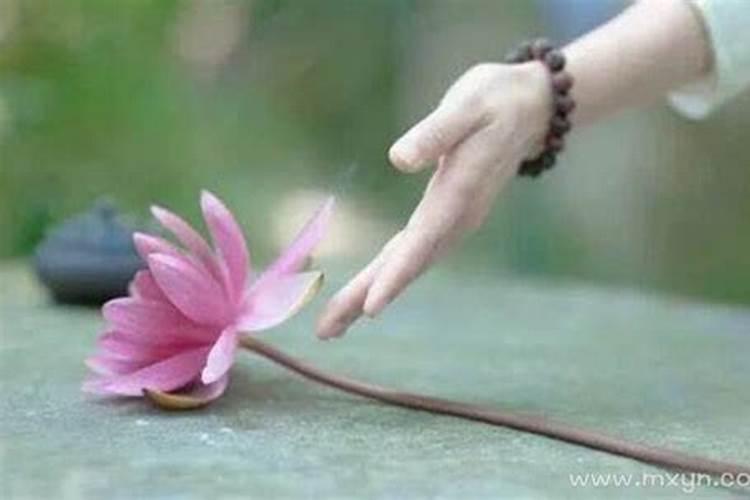 家里老人祭日和孩子生日一天有啥说法？