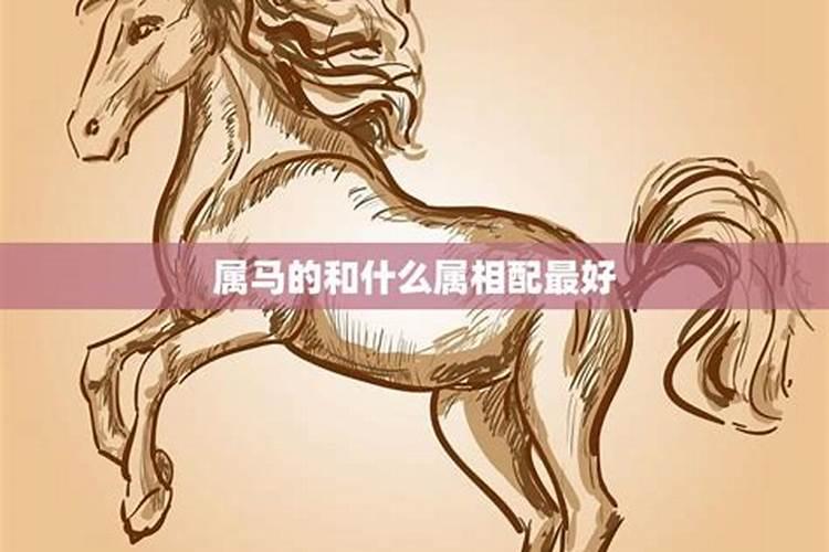 1970年属狗男士(55岁)2025年运势透视,看看每个月的好运