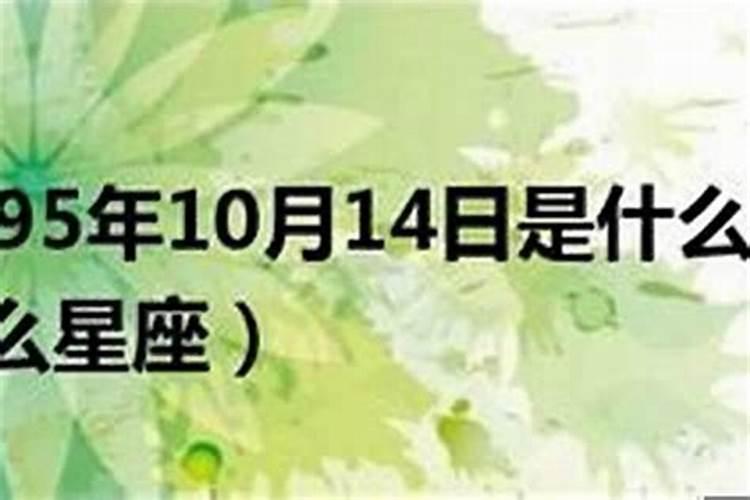 94年属狗人每月运势