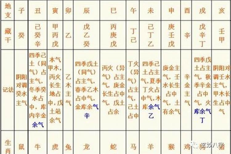 藏干在八字中如何使用 地支藏干的作用是什么