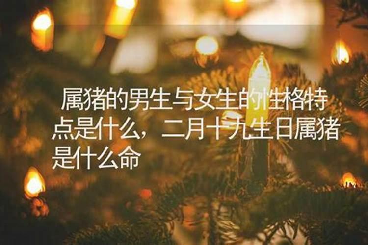 农历二月二十出生的人命运 农历二月二十出生的人命运怎么样