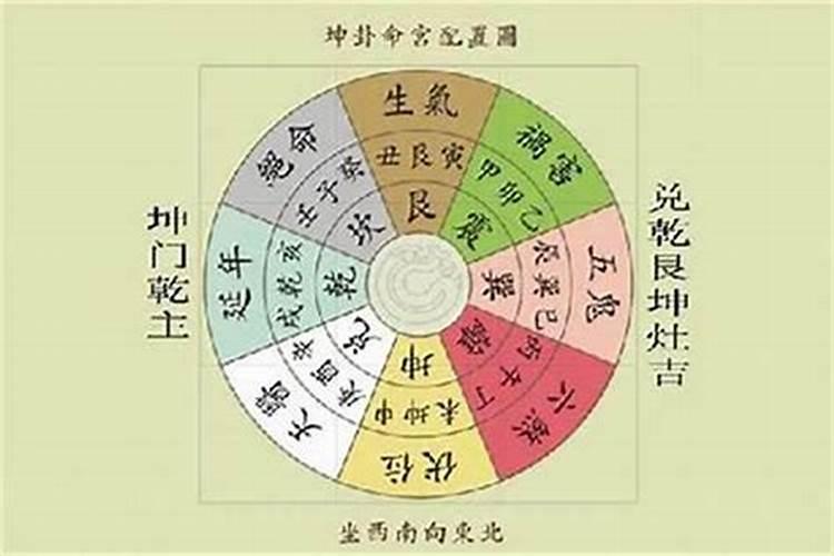 生肖鼠1996年2025年运势如何生肖鼠1996年2025年全年运势