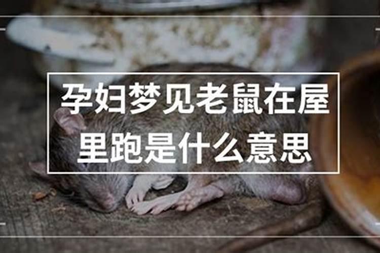 梦到车被撞坏了,预示着什么？