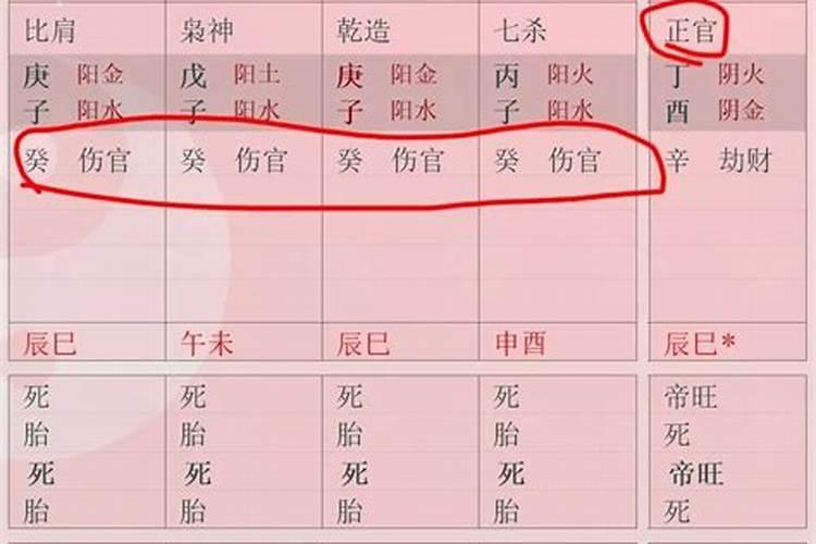 2025年1月23日出生的男孩起名字大全