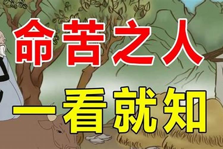 佛说命运坎坷的人特征